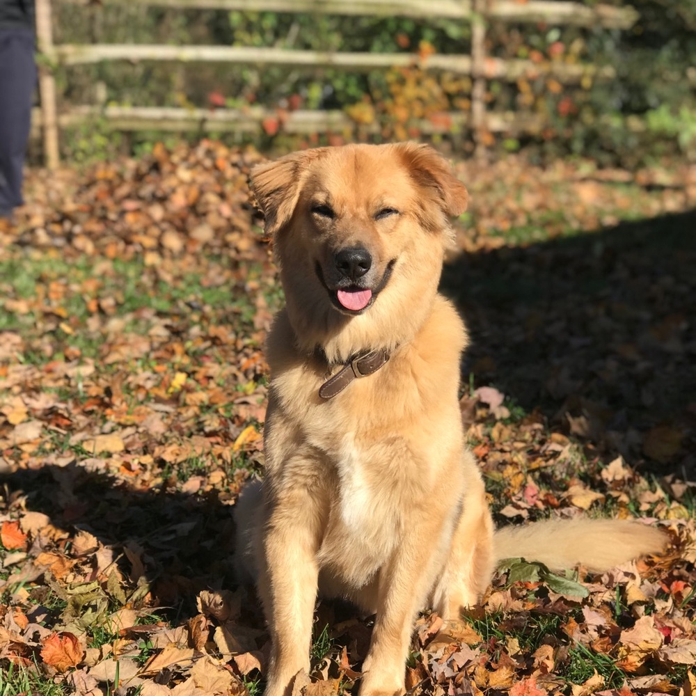 Meet your Posher, Lucy